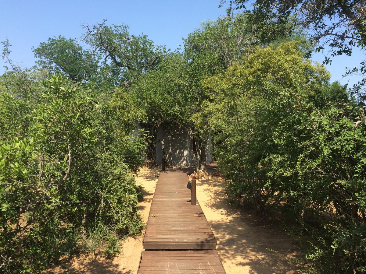 Leadwood Lodge Hoedspruit Bagian luar foto