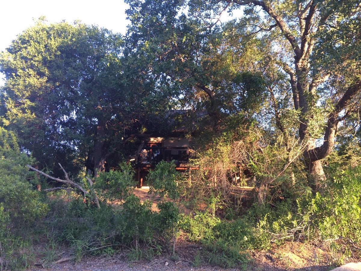 Leadwood Lodge Hoedspruit Bagian luar foto