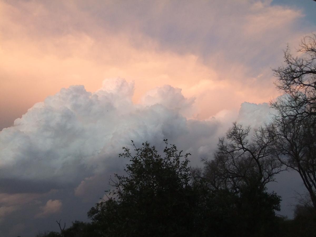 Leadwood Lodge Hoedspruit Bagian luar foto