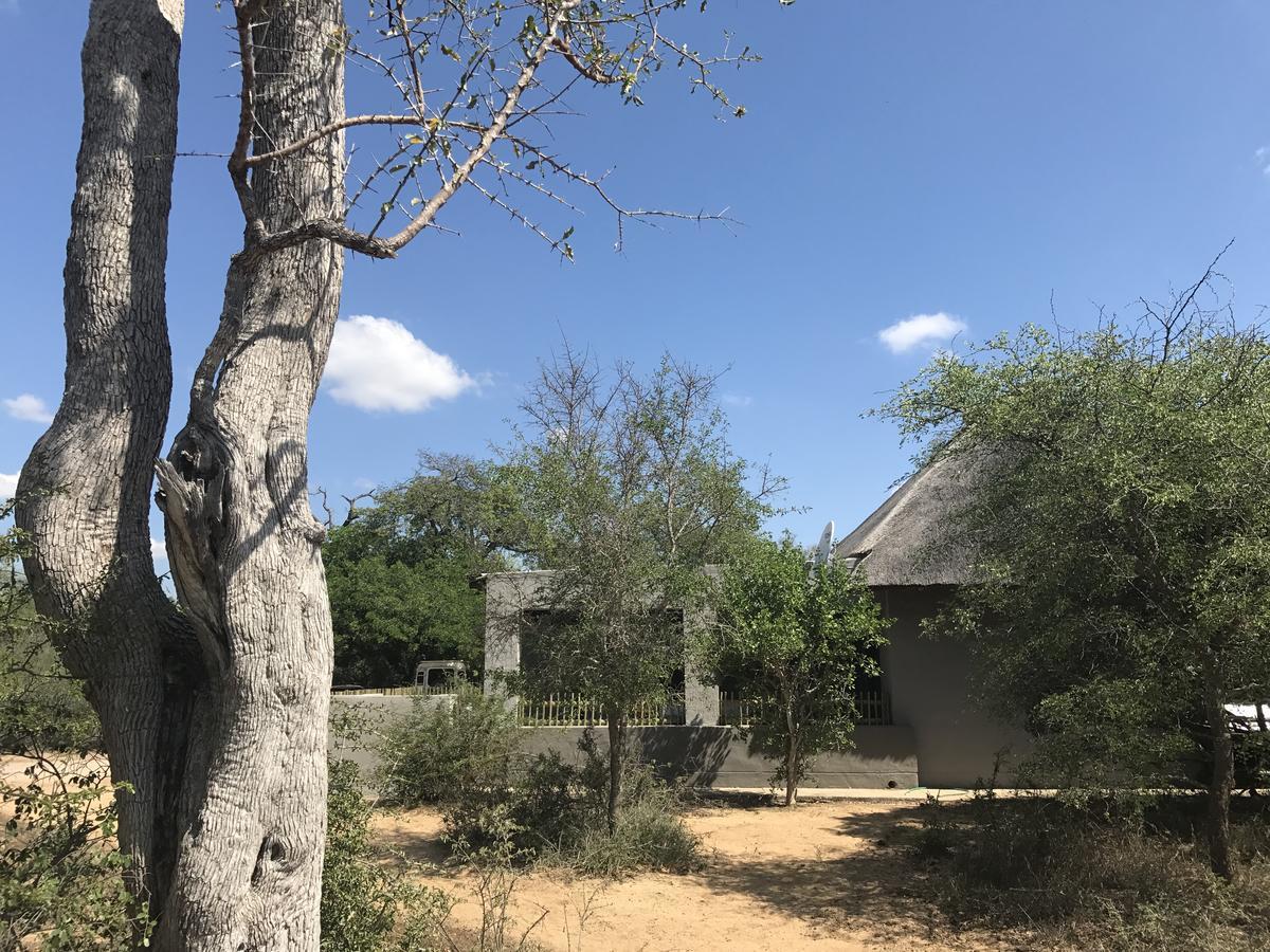 Leadwood Lodge Hoedspruit Bagian luar foto